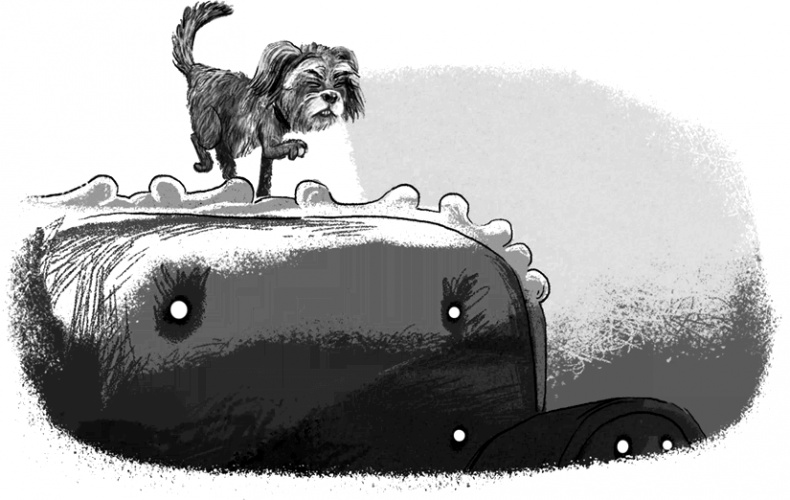 Иллюстрация к книге — Утраченное сокровище [i_030.jpg]