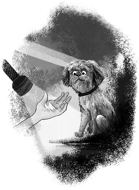 Иллюстрация к книге — Утраченное сокровище [i_037.jpg]