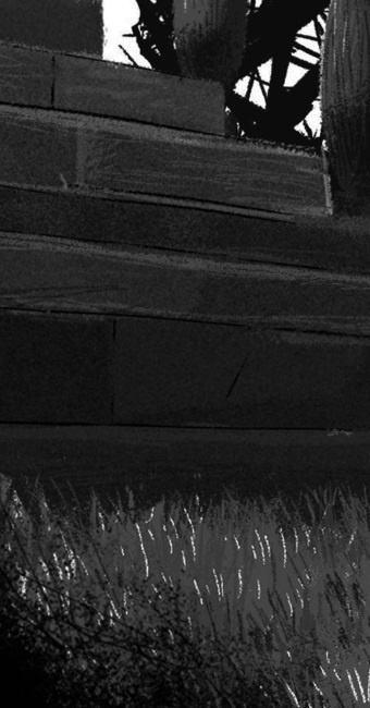 Иллюстрация к книге — Пёс из лунного света [i_035.jpg]