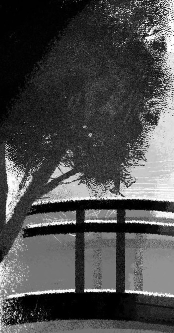 Иллюстрация к книге — Пёс из лунного света [i_054.jpg]