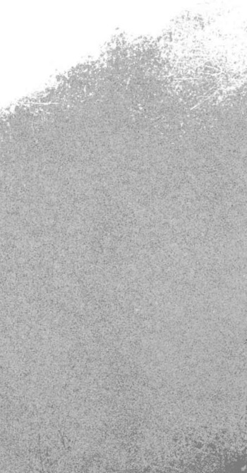 Иллюстрация к книге — Пёс из лунного света [i_060.jpg]