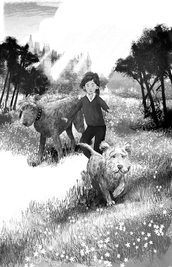 Иллюстрация к книге — Тайная лестница [block_001223196.jpg]