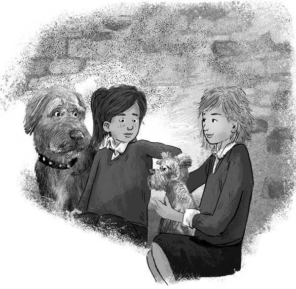 Иллюстрация к книге — Тайная лестница [block_001223213.jpg]