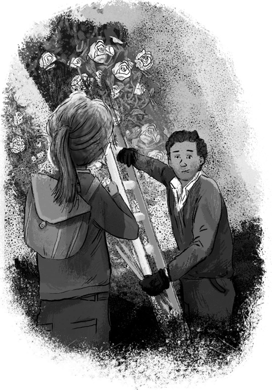 Иллюстрация к книге — Тайная лестница [block_00122350.jpg]