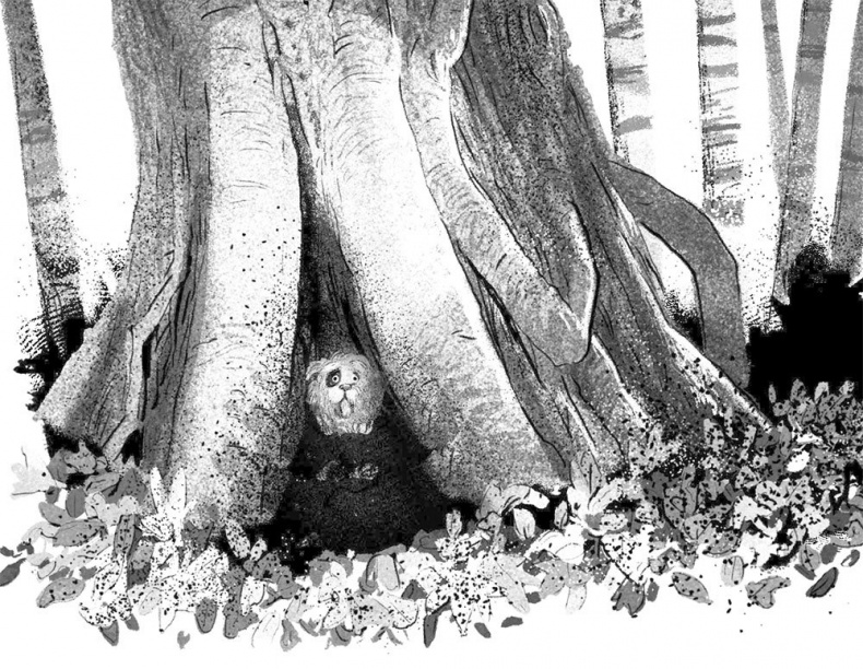 Иллюстрация к книге — Дерево с секретом [i_012.jpg]