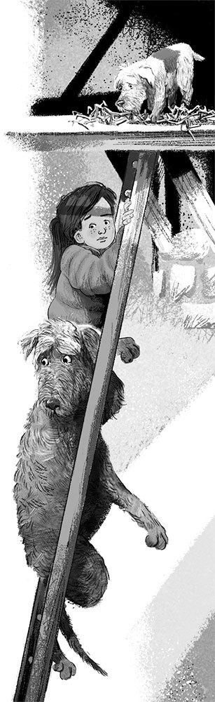 Иллюстрация к книге — Дерево с секретом [i_028.jpg]