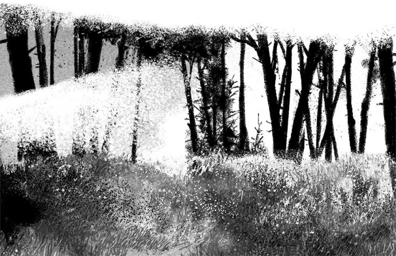 Иллюстрация к книге — Дерево с секретом [i_041.jpg]