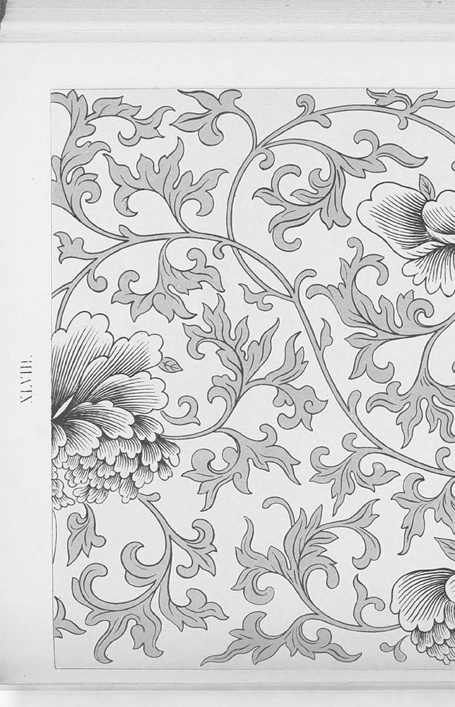 Иллюстрация к книге — Дерево с секретом [i_050.jpg]