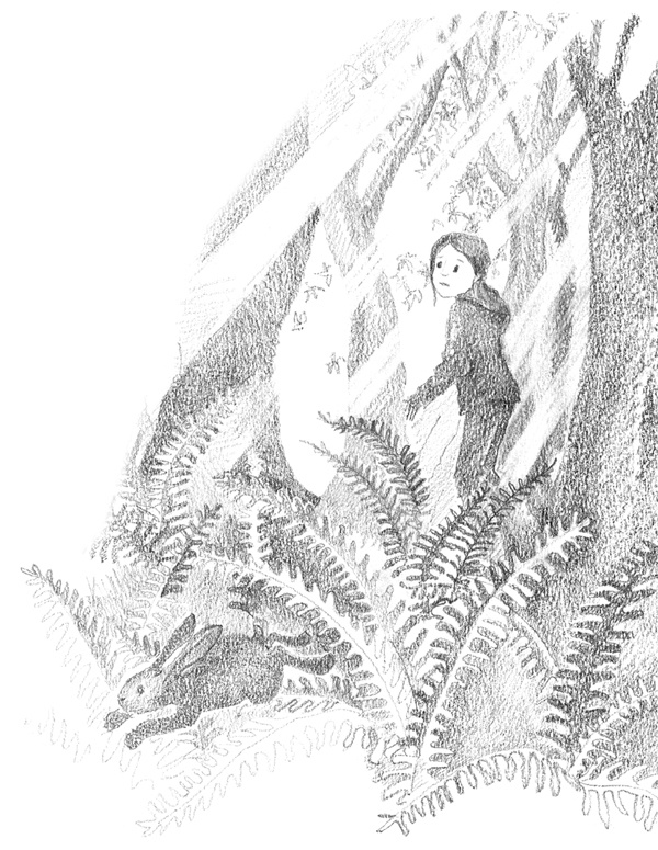 Иллюстрация к книге — Щенок Фред, или Уплывший дом [block_001144101.jpg]