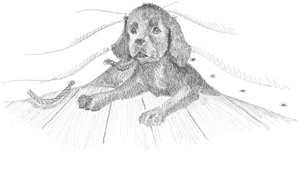 Иллюстрация к книге — Щенок Фред, или Уплывший дом [block_001144111.jpg]