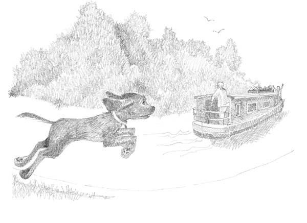 Иллюстрация к книге — Щенок Фред, или Уплывший дом [block_001144116.jpg]