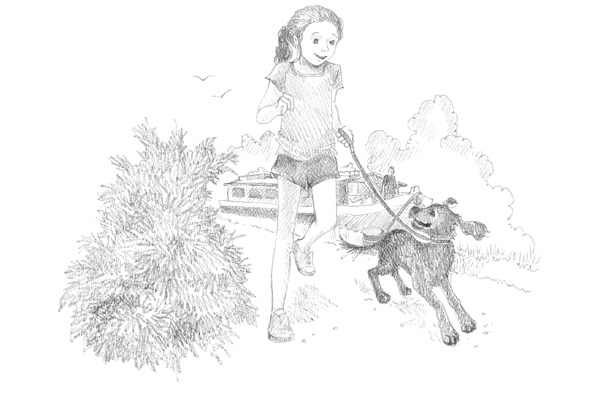 Иллюстрация к книге — Щенок Фред, или Уплывший дом [block_00114438.jpg]