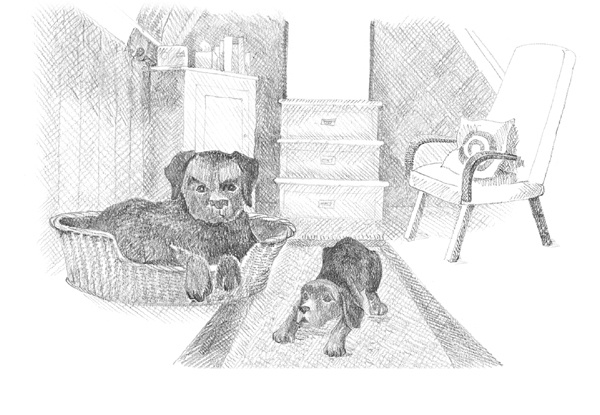 Иллюстрация к книге — Щенок Фред, или Уплывший дом [block_00114441.jpg]