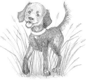 Иллюстрация к книге — Щенок Фред, или Уплывший дом [block_0011447.jpg_1.jpg]