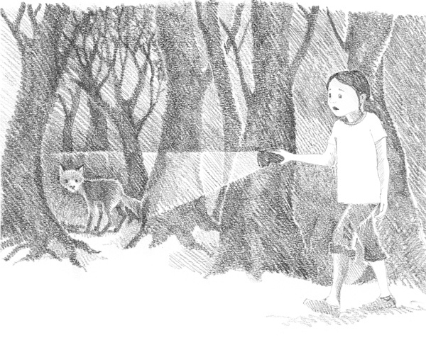 Иллюстрация к книге — Щенок Фред, или Уплывший дом [block_00114483.jpg]