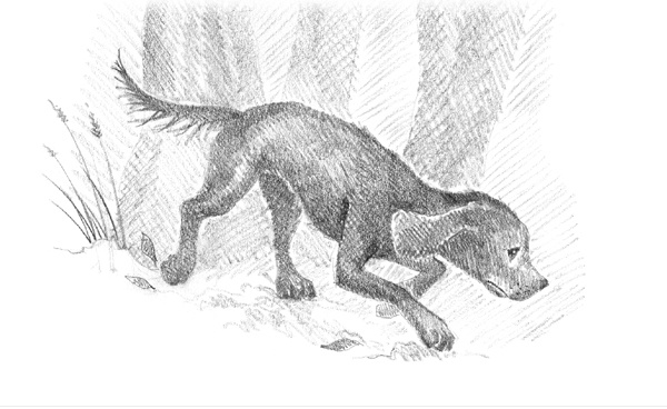 Иллюстрация к книге — Щенок Фред, или Уплывший дом [block_00114489.jpg]