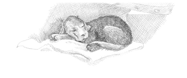 Иллюстрация к книге — Щенок Фред, или Уплывший дом [block_00114491.jpg]