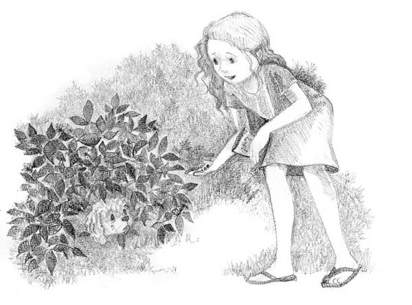 Иллюстрация к книге — Щенок Молли, или Ищу хозяйку [block_001144129.jpg]