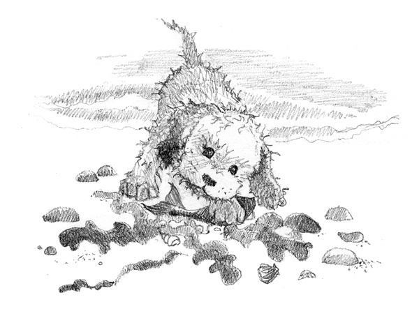 Иллюстрация к книге — Щенок Молли, или Ищу хозяйку [block_00114435.jpg]