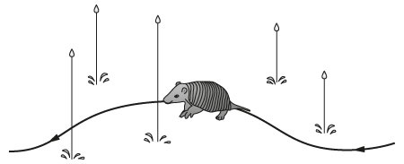 Иллюстрация к книге — Новый физический фейерверк [i_001.jpg]