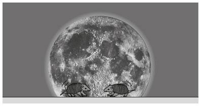 Иллюстрация к книге — Новый физический фейерверк [i_179.jpg]