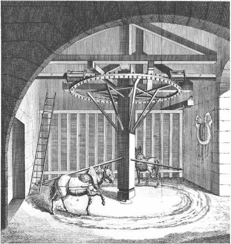 Иллюстрация к книге — Энергия и цивилизация [i_003.jpg]