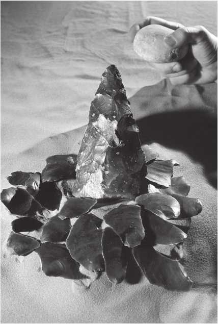 Иллюстрация к книге — Энергия и цивилизация [i_007.jpg]