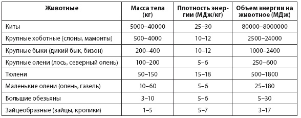 Иллюстрация к книге — Энергия и цивилизация [i_009.jpg]