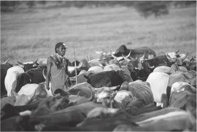 Иллюстрация к книге — Энергия и цивилизация [i_013.jpg]