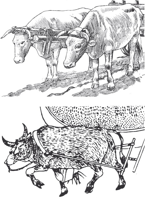 Иллюстрация к книге — Энергия и цивилизация [i_020.jpg]