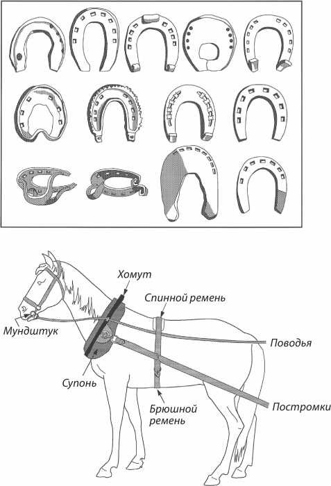 Иллюстрация к книге — Энергия и цивилизация [i_022.jpg]