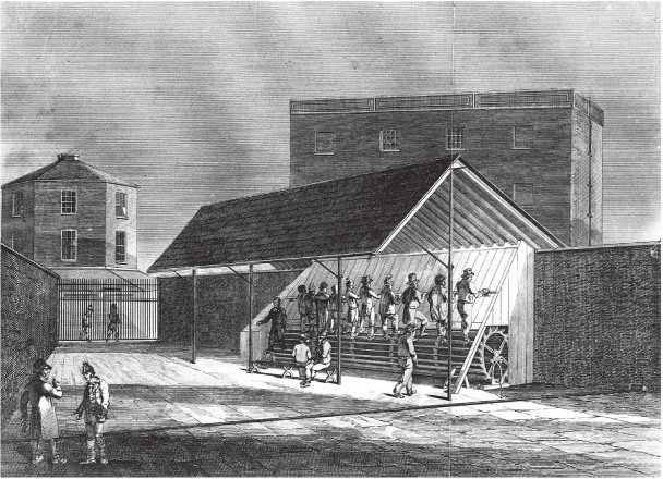 Иллюстрация к книге — Энергия и цивилизация [i_046.jpg]