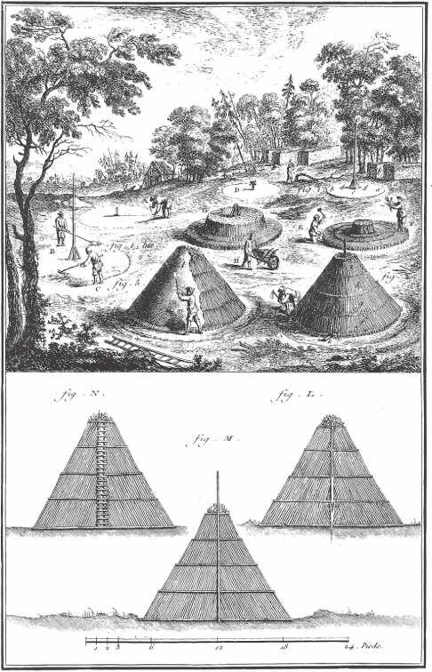 Иллюстрация к книге — Энергия и цивилизация [i_053.jpg]