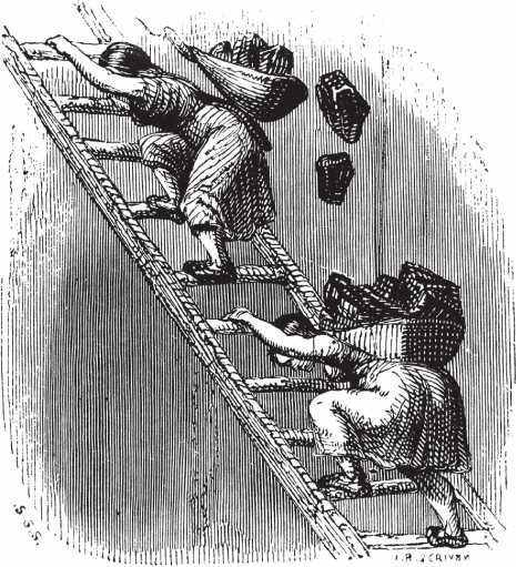 Иллюстрация к книге — Энергия и цивилизация [i_069.jpg]