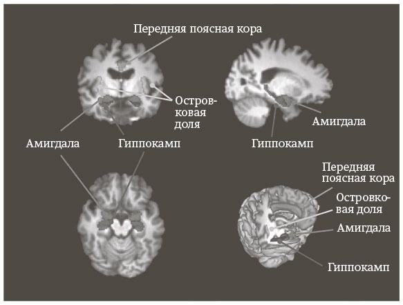 Иллюстрация к книге — Быть собой [i_004.jpg]