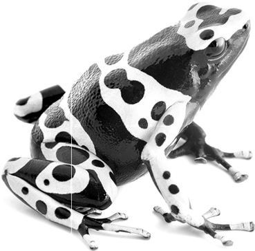 Иллюстрация к книге — Взламывая биологию [i_003.jpg]