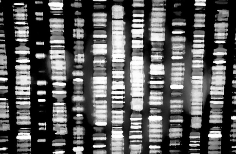 Иллюстрация к книге — Взламывая биологию [i_004.jpg]