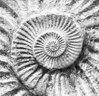 Иллюстрация к книге — Взламывая биологию [i_011.jpg]