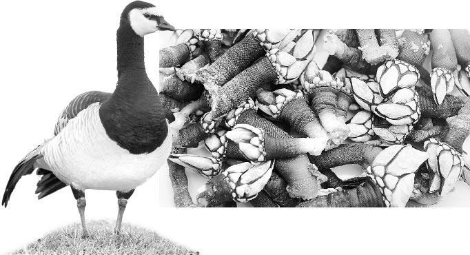 Иллюстрация к книге — Взламывая биологию [i_036.jpg]