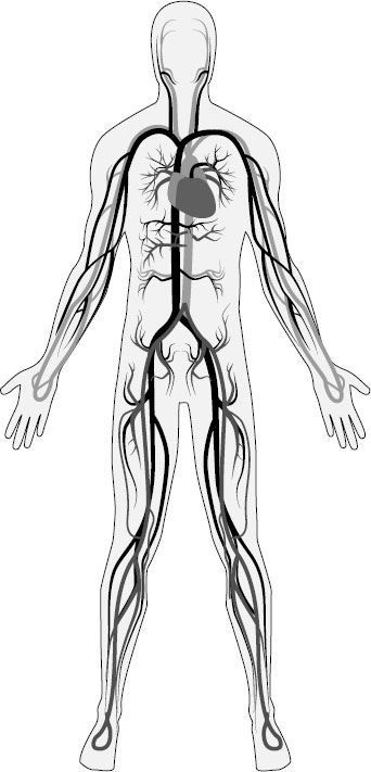 Иллюстрация к книге — Взламывая биологию [i_043.jpg]