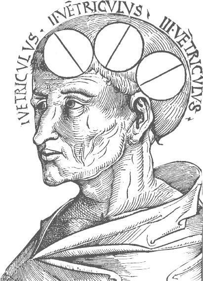 Иллюстрация к книге — Взламывая биологию [i_044.jpg]