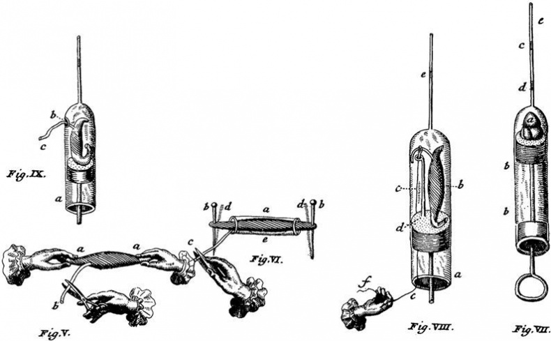 Иллюстрация к книге — Взламывая биологию [i_045.jpg]