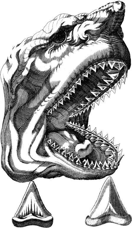 Иллюстрация к книге — Взламывая биологию [i_054.jpg]