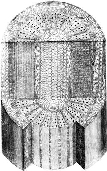 Иллюстрация к книге — Взламывая биологию [i_060.jpg]