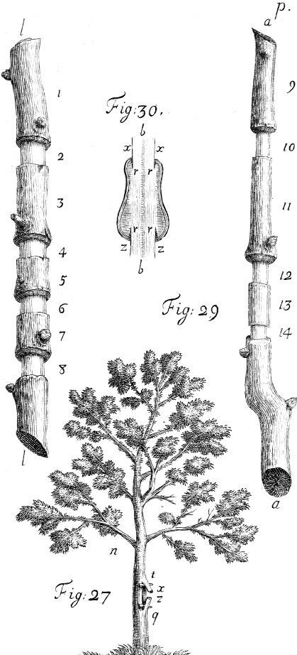Иллюстрация к книге — Взламывая биологию [i_061.jpg]