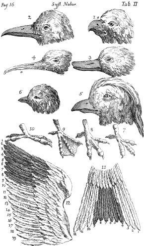 Иллюстрация к книге — Взламывая биологию [i_066.jpg]