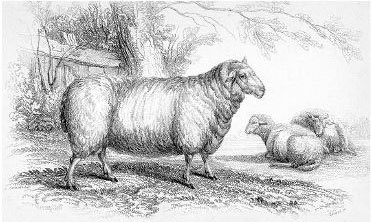 Иллюстрация к книге — Взламывая биологию [i_070.jpg]