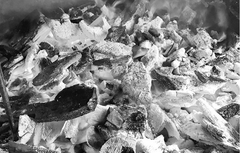 Иллюстрация к книге — Взламывая биологию [i_075.jpg]