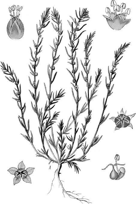 Иллюстрация к книге — Взламывая биологию [i_079.jpg]