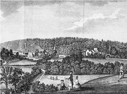 Иллюстрация к книге — Взламывая биологию [i_081.jpg]